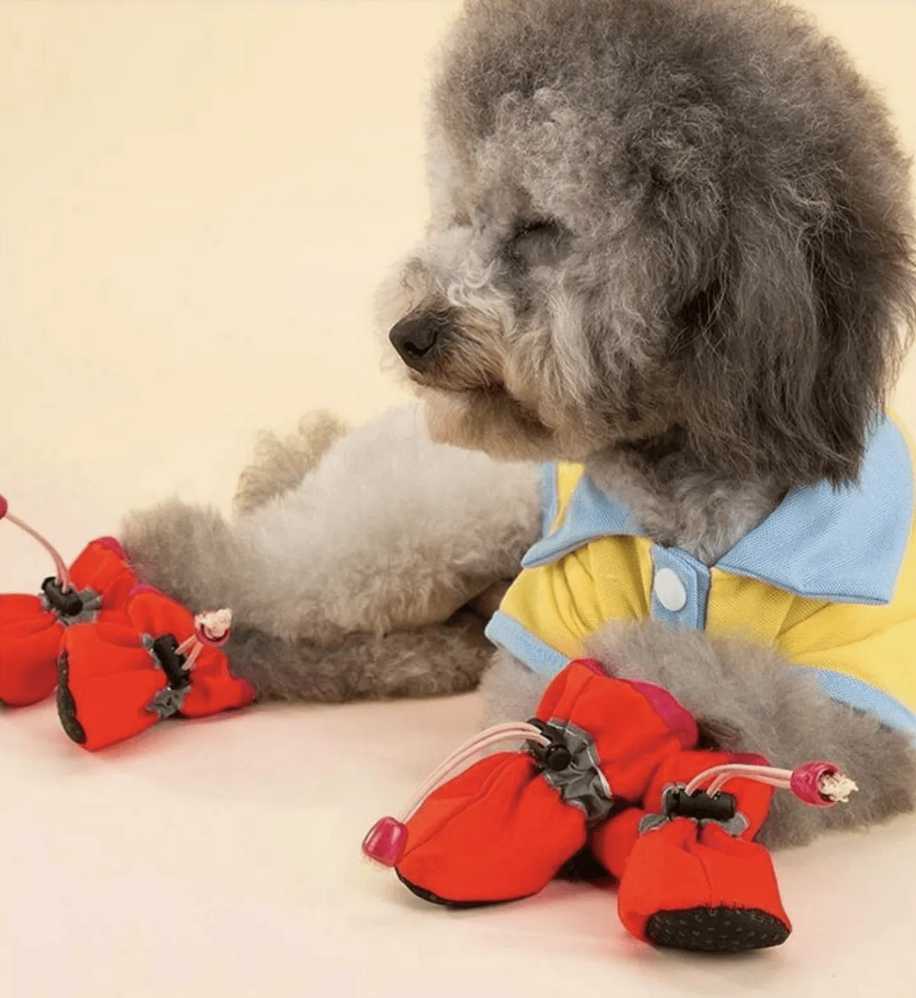 Outdoor Dog Booties