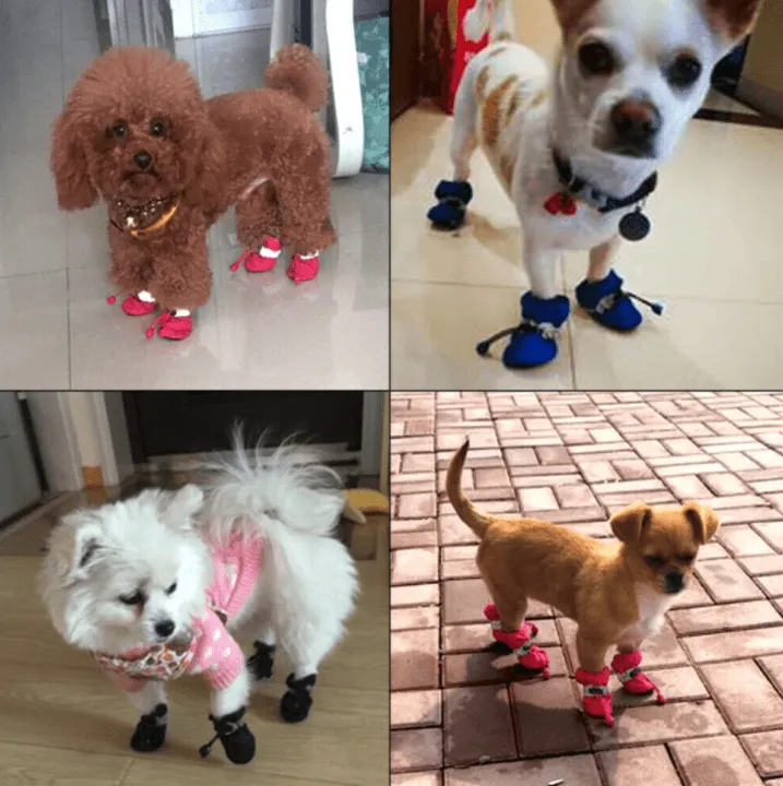 Outdoor Dog Booties