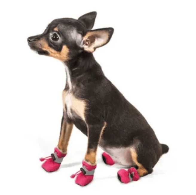 Outdoor Dog Booties