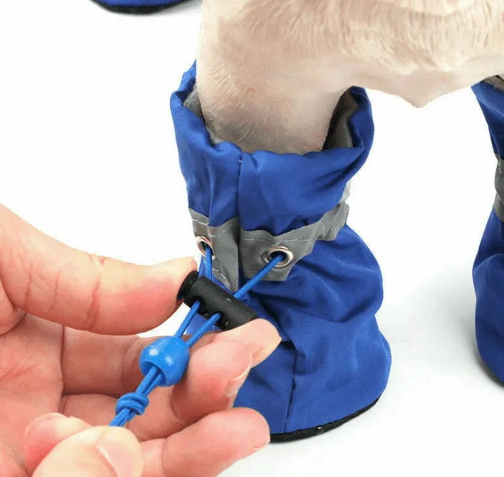 Outdoor Dog Booties